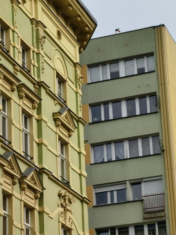 5-krotne powiększenie w ciągu dnia na budynkach