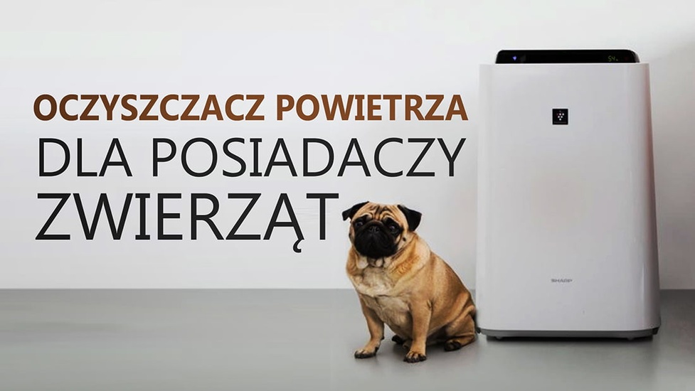 Jaki Oczyszczacz Powietrza Dla Posiadaczy Zwierząt Domowych? Poradnik Zakupowy