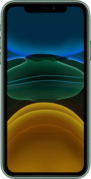 Apple iPhone 11 4/256GB Dual SIM Zielony (MWMD2PM/A)