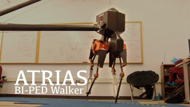 Kopią i Rzucają Piłką W Dwunożnego Robota!