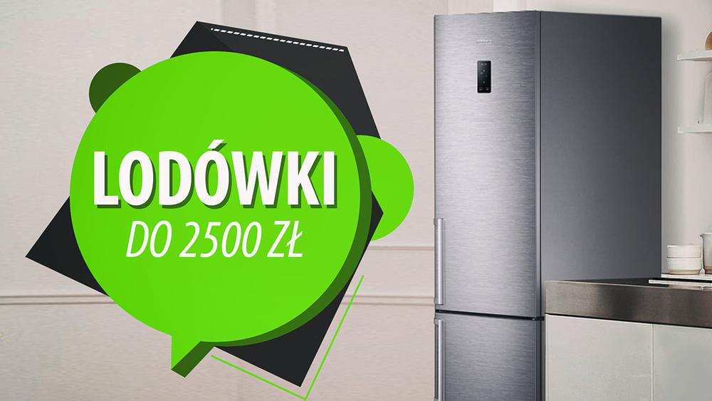 Ekskluzywne lodówki do 2500 zł |TOP 10|