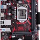 Asus EX-B365M-V (90MB10Y0-M0EAYM)