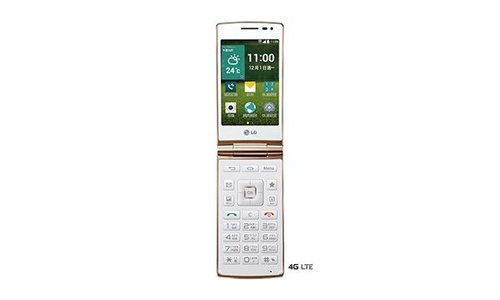 LG Wine Smart D486