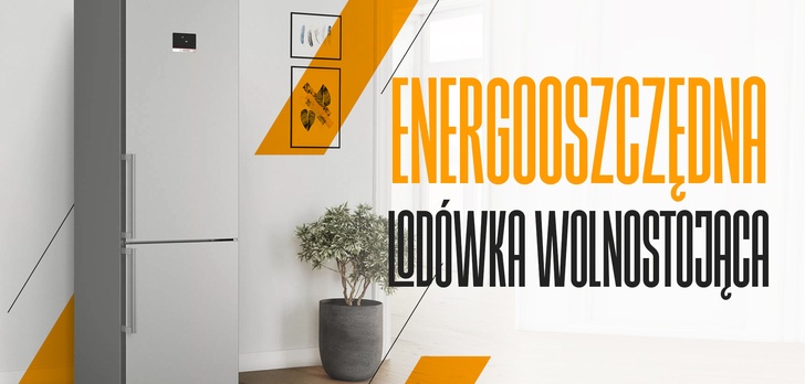 Energooszczędna lodówka wolnostojąca | Ranking TOP 5