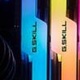 G.Skill Trident Z RGB, DDR4, 8x8GB, 3000MHz, CL14 (F4-3000C14Q2-64GTZR)