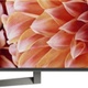 Sony 49XF9005B