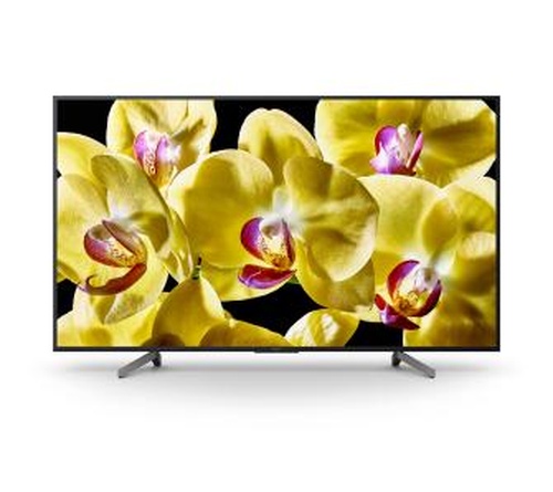 Sony KD-49XG8096