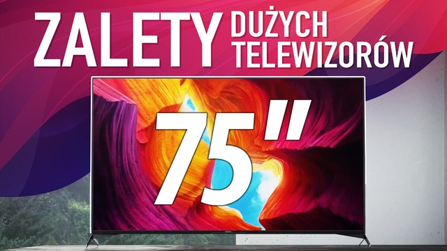 Dlaczego warto kupić duży Telewizor?