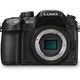 Panasonic Lumix GH 15