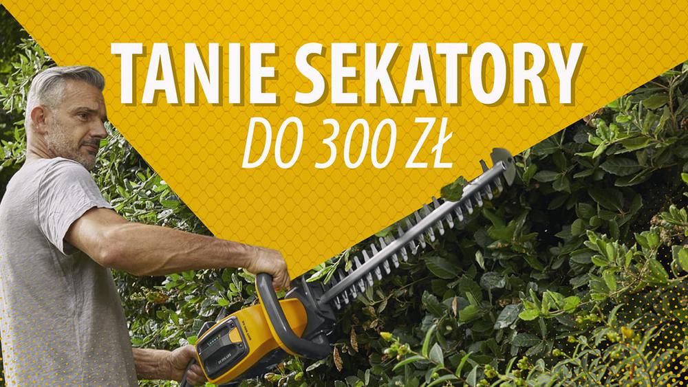 Tanie elektryczne nożyce do żywopłotu do 300 zł |TOP 5|