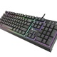 Klawiatura Genesis Thor 200 RGB