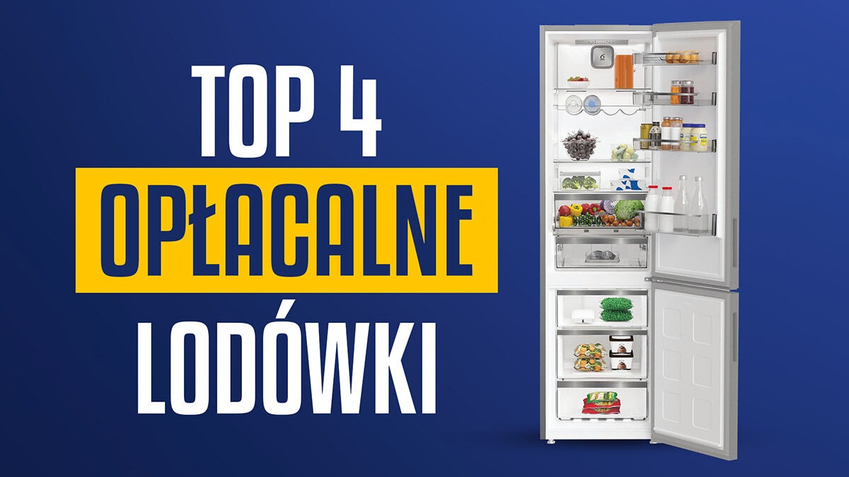Opłacalna lodówka z dolnym zamrażalnikiem Ranking | TOP 4