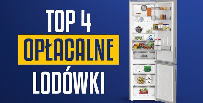Opłacalna lodówka z dolnym zamrażalnikiem Ranking | TOP 4