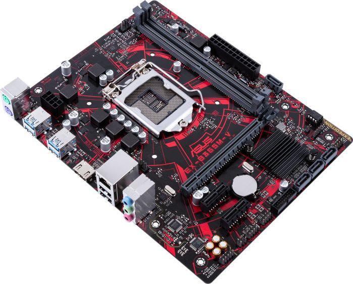 Asus EX-B365M-V (90MB10Y0-M0EAYM)