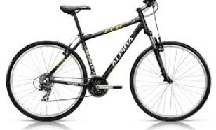 Kelly`s Alpina Eco C10 2013