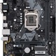 Asus ASUS PRIME H310M-R R2.0, LGA1151, H310, HDMI, DVI