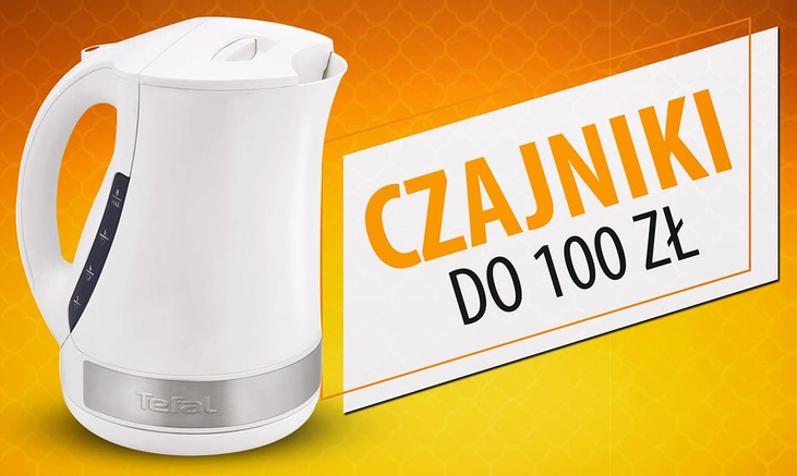 Czajnik elektryczny do 100 zł Ranking | TOP 7