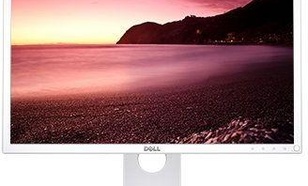 Dell P2217Wh (210-ALRL)
