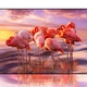 Samsung QE55Q80A