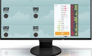 Eizo FlexScan EV2451-BK (czarny)