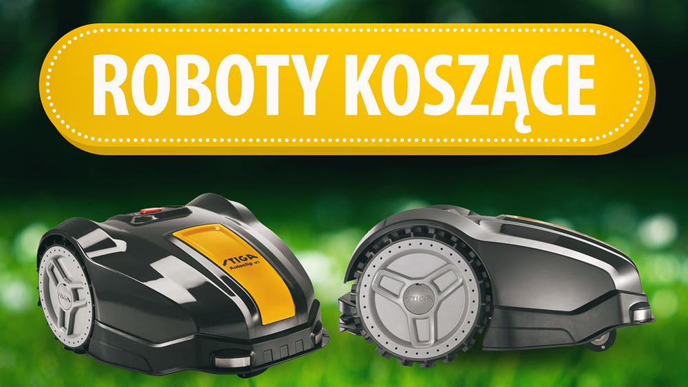 Najlepsza robota vidio