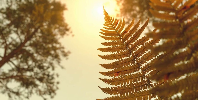 Unreal Engine 4 Miażdży Realizmem - Czy Artysta-grafik Doszedł do Granic?