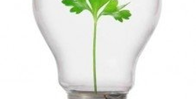 Fundacja Acer ogłasza pierwszy konkurs pro-ekologiczny Incredible Green Contest  