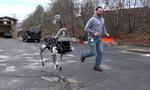 Na Ulicach Bostonu Pojawił Się Pierwszy Robot-Listonosz