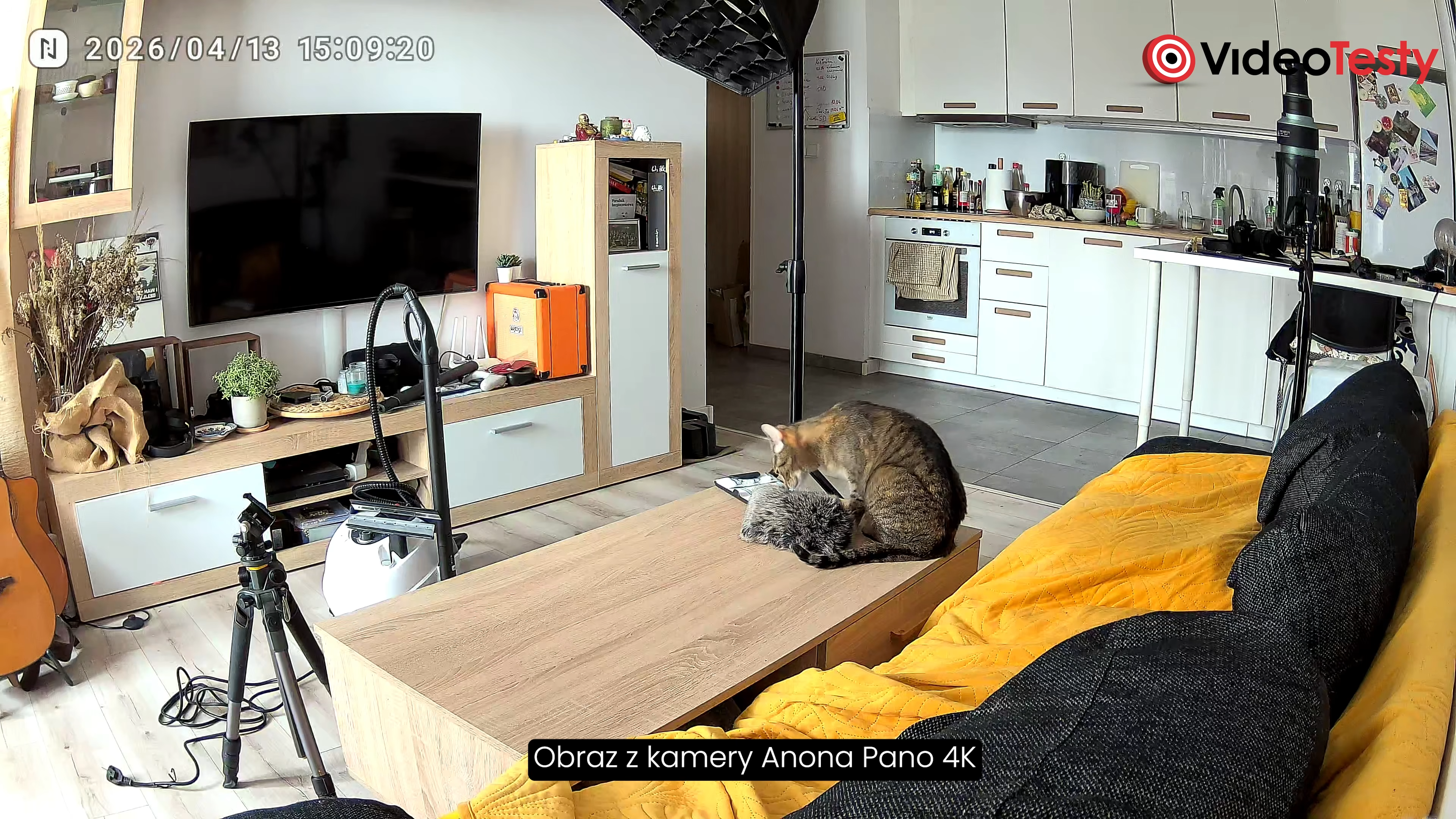 Jakość kadru Anona Pano 4K za dnia, widok na kota