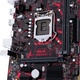 Asus EX-B365M-V (90MB10Y0-M0EAYM)