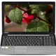 TOSHIBA SATELLITE C55-A-1JL i3-3110M 4GB 750GB 15,6" GT740M (2GB) W8.1