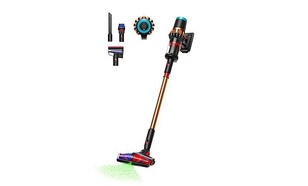 Dyson V16 Piston Animal