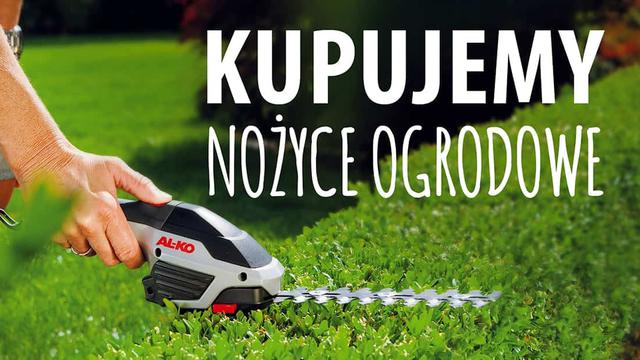Jak wybrać nożyce do żywopłotu? Rodzaje nożyc ogrodowych