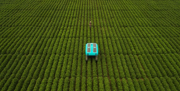 Autonomiczny robot Google'a pomoże rolnikom