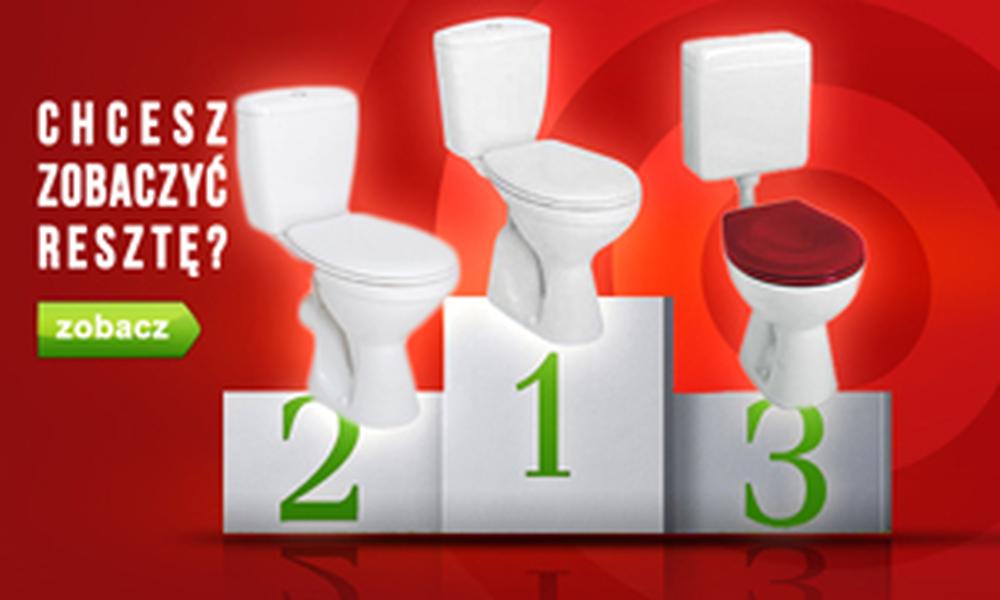 Armatura Wysokiej Klasy - Jaki Kompakt WC Kupić?