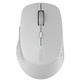 Rapoo RAPOO MYSZ BEZPRZEWODOWA 2.4 GHz + BT M300 SZARA