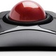 Kensington Bezprzewodowy trackball Expert Mouse® K72359WW