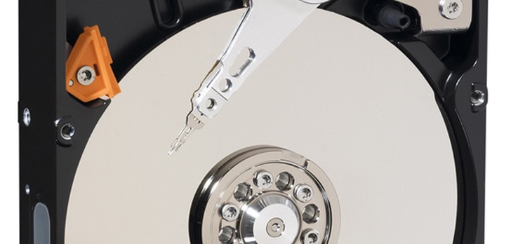 WD AV-25 - dysk do przechowywania multimediów