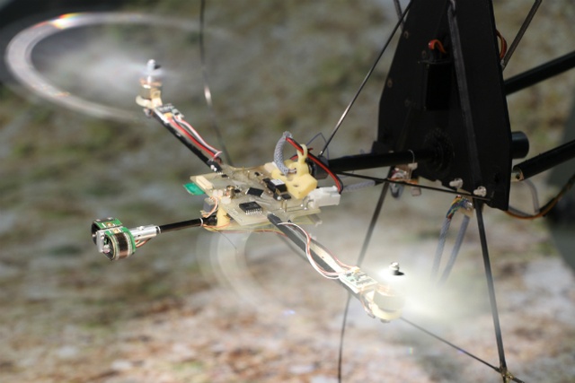 Dron Niczym Owad