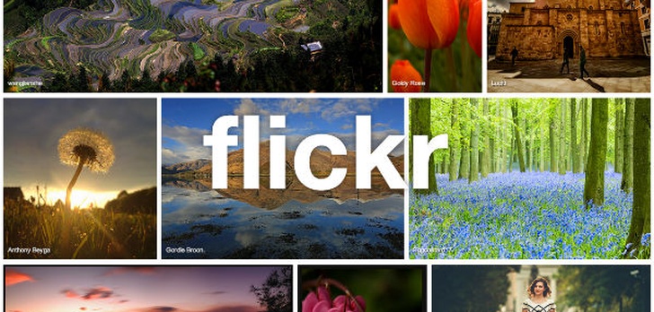 Scout - Znajdź Swoje Zdjęcia w Flickr Explorer