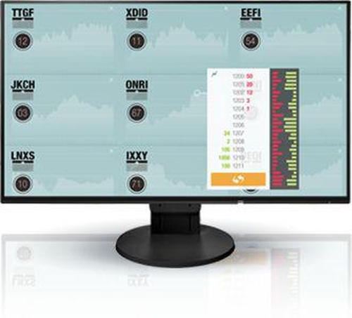 Eizo FlexScan EV2451-BK (czarny)