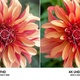 Samsung UE43AU8072 LED 43'' 4K Ultra HD Tizen