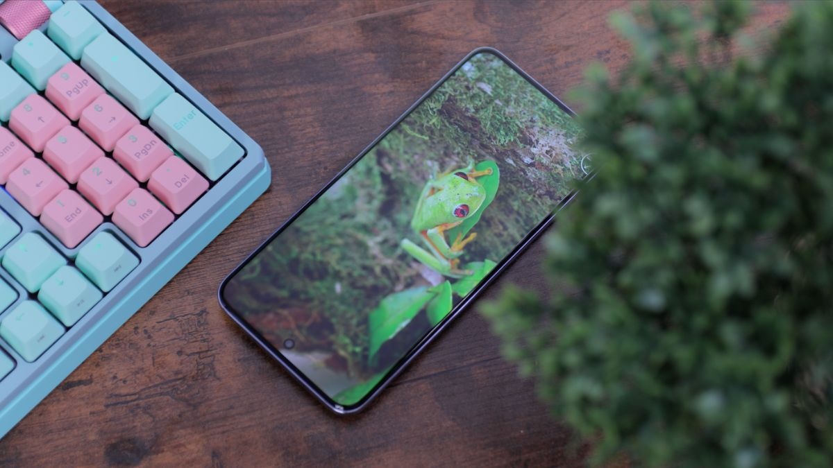 oppo reno12 pro 5g  wyświetlacz