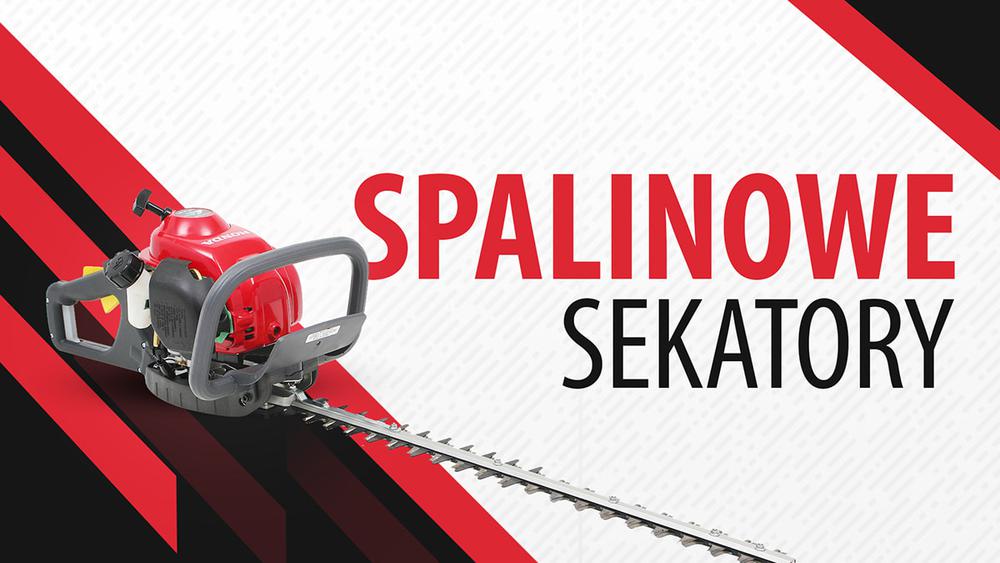 Spalinowe nożyce do żywopłotu |TOP 3|