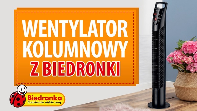 Wentylator kolumnowy z Biedronki - Kiedy i za ile?