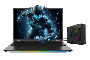 Mocny 16 calowy laptop Dream Machines RX5080-16PL27