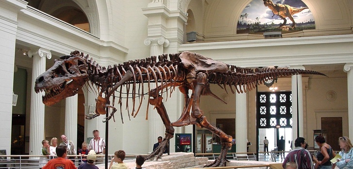 Tyranozaur W Ogródku? Jego Replika Jest Na Sprzedaż!