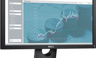 18.5'' E1916H LED TN Anti-Glare/16:9/1366x768/VGA/DP 1.2/3Y PPG