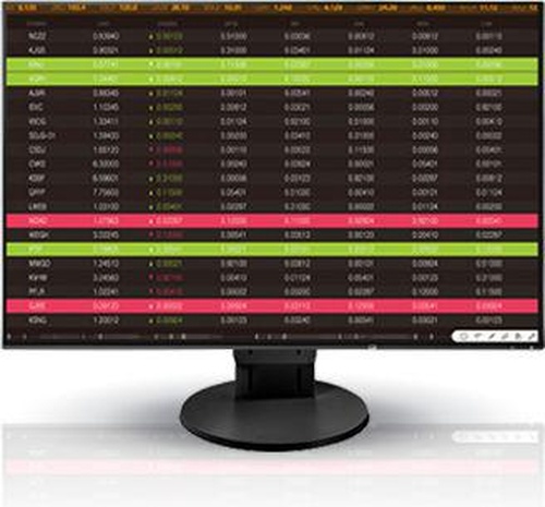 Eizo FlexScan EV2456-BK (czarny)