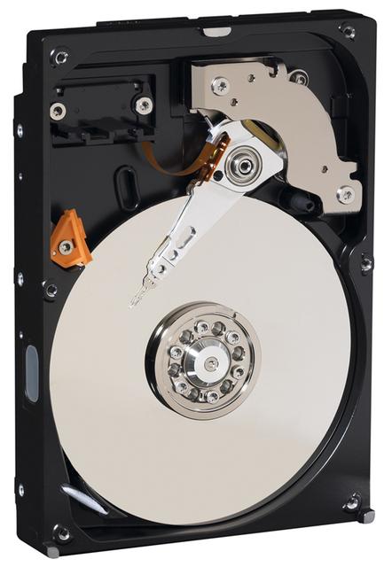 WD AV-25 - dysk do przechowywania multimediów
